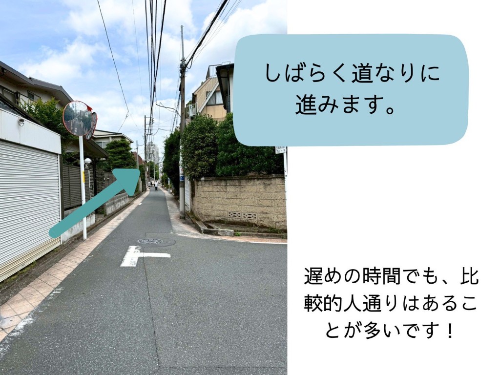しばらく道なりに進む案内。住宅街の直進する道が写っています。
