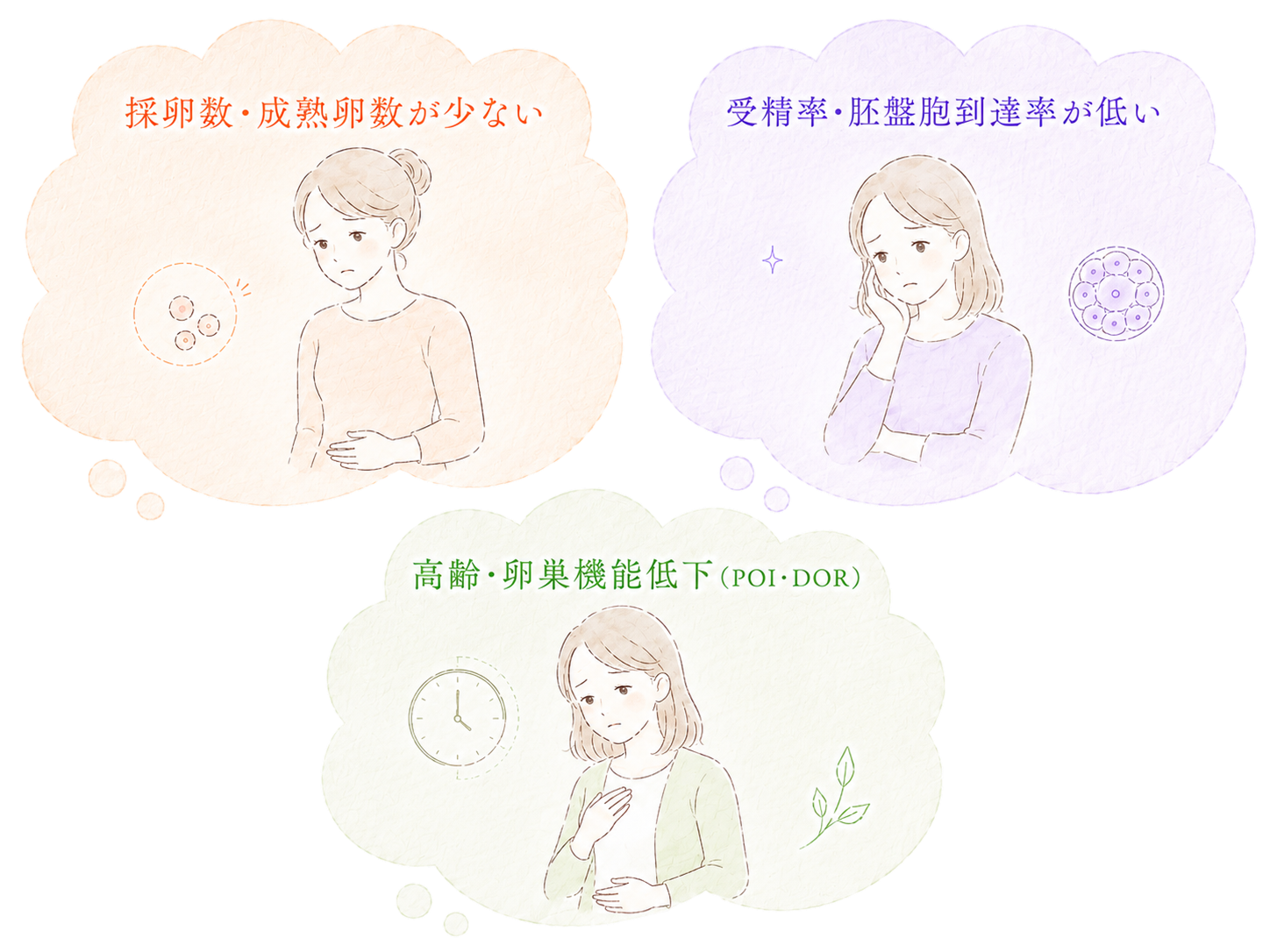 卵子質改善で対応できる主なお悩み(採卵数・成熟卵数が少ない、受精率・胚盤胞到達率が低い、高齢・卵巣機能低下)を示すイラスト。