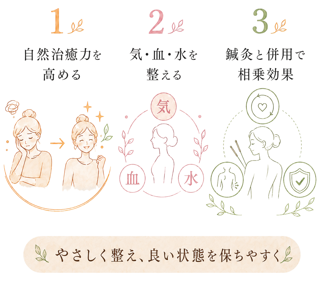 漢方の効果を示すイラスト。自然治癒力を高めること、気・血・水を整えること、鍼灸と併用した相乗効果。やさしく整え、良い状態を保ちやすく。